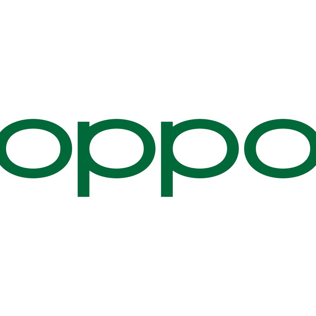 重生之我在交城OPPO卖手机