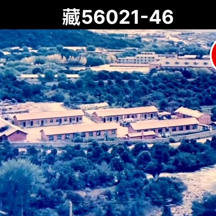成云龙