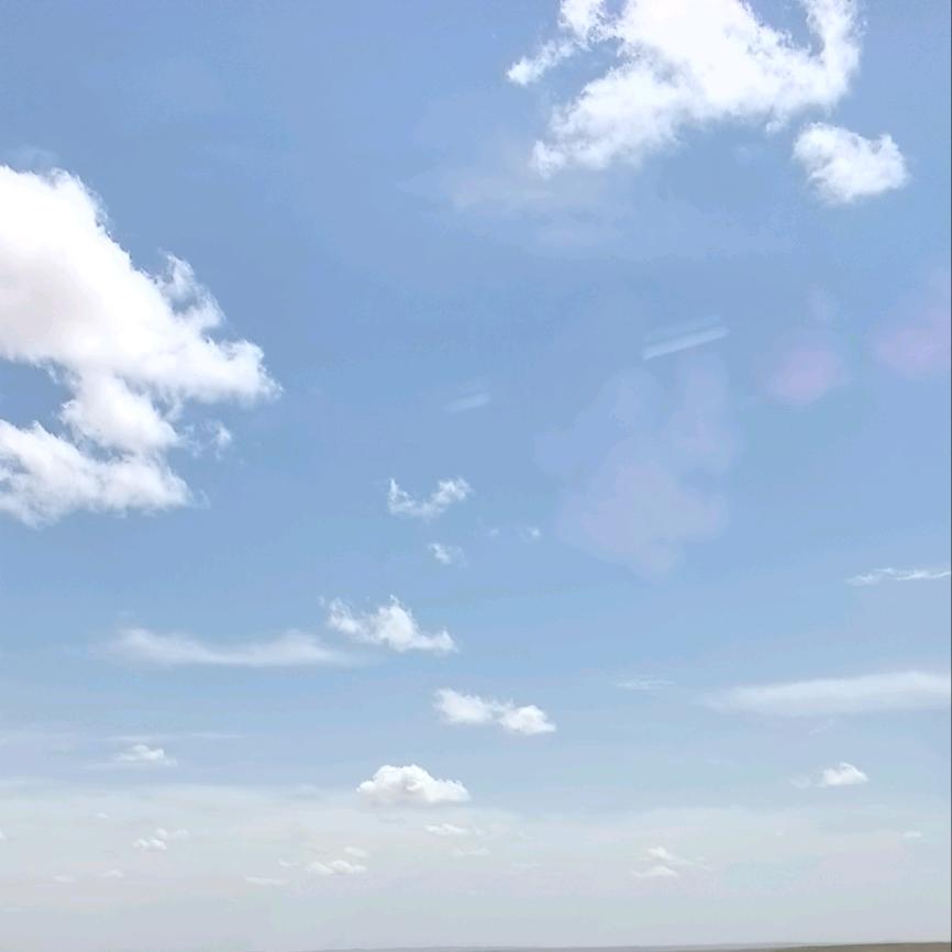 田野
