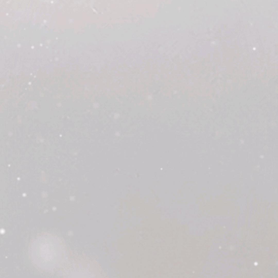小小的请求