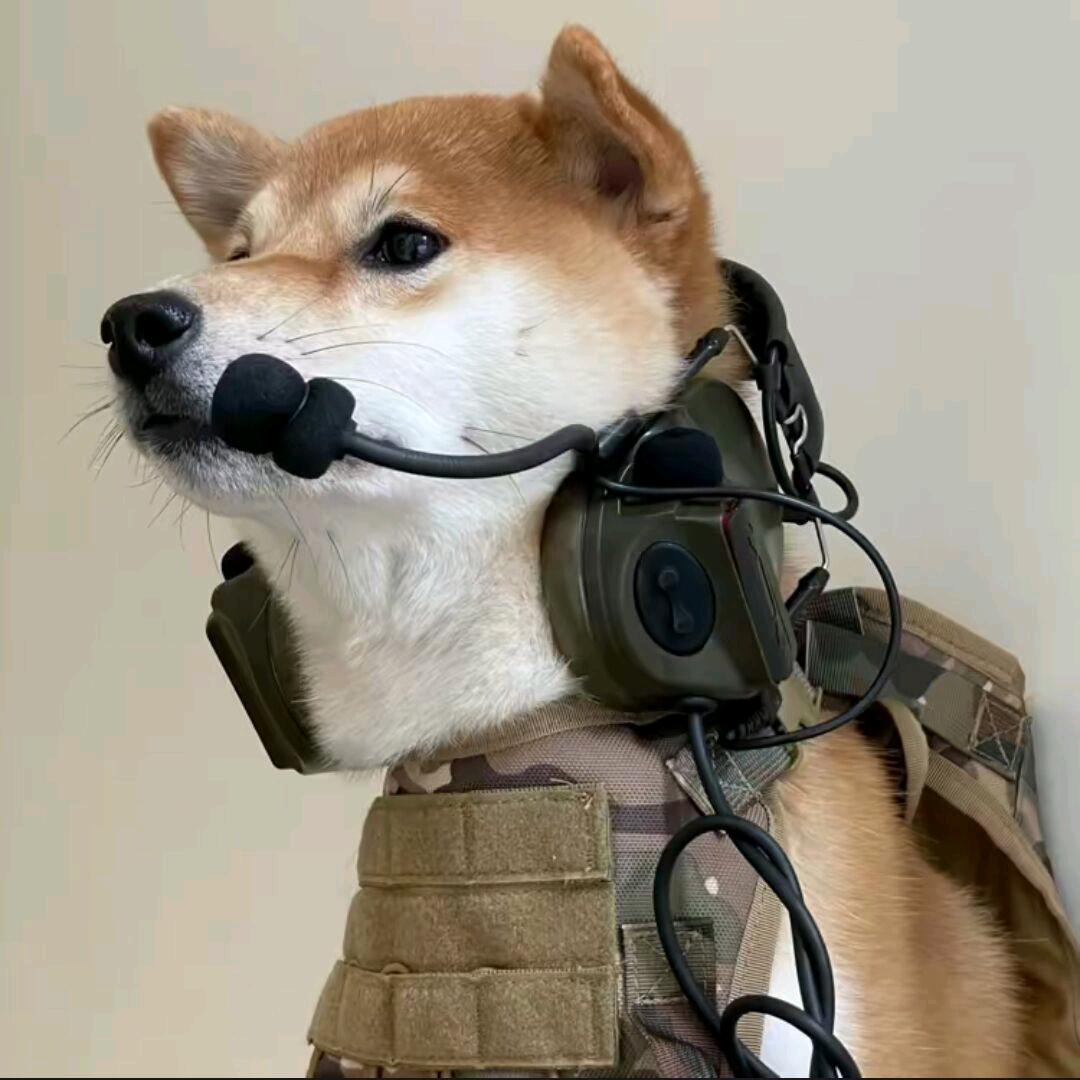 雾鹜