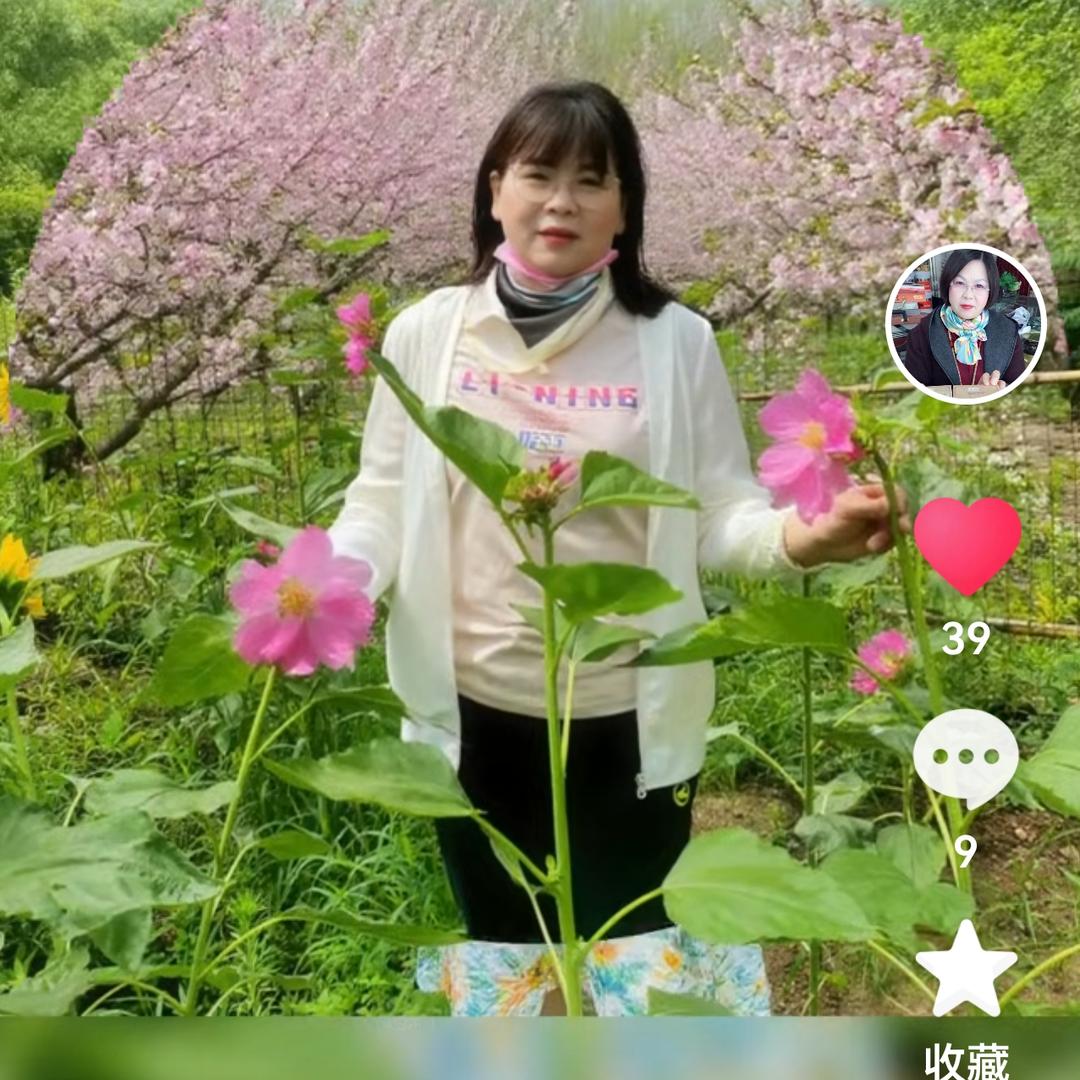 绿源装饰