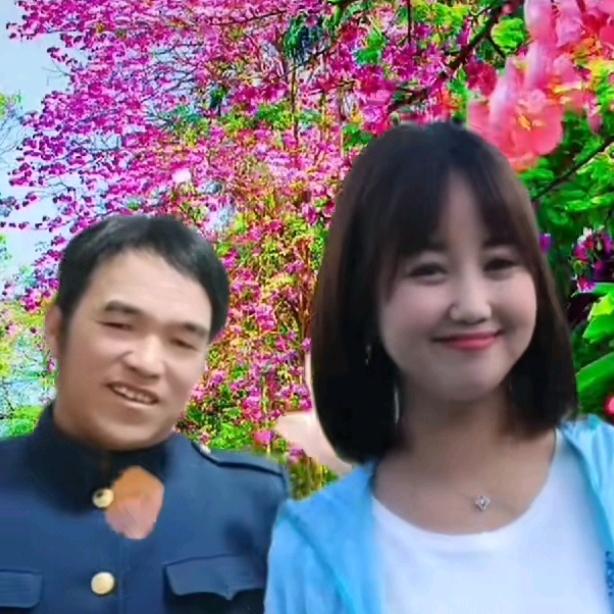 人生之路单身想寻伴侣