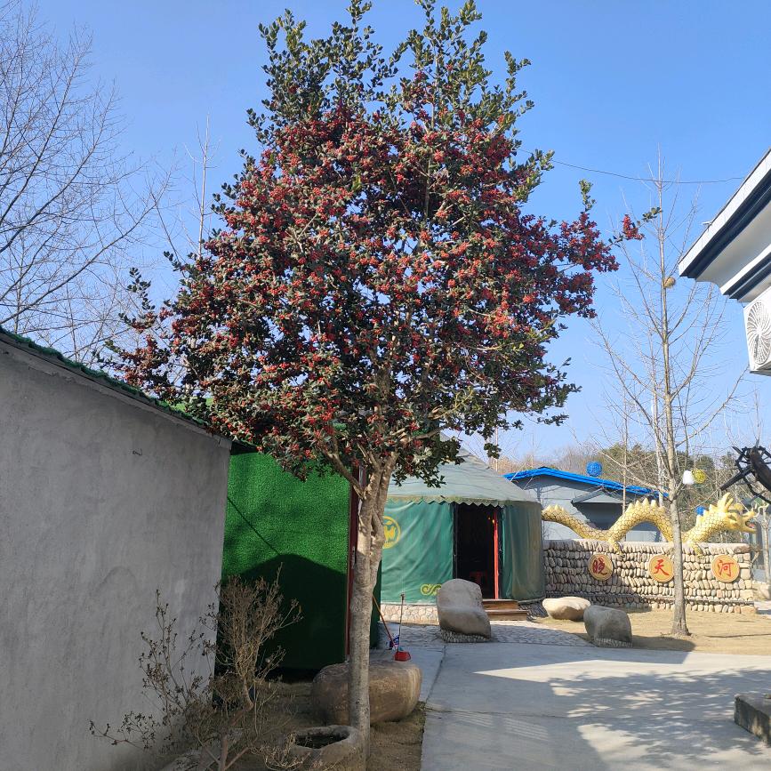 从头再来，新的开始