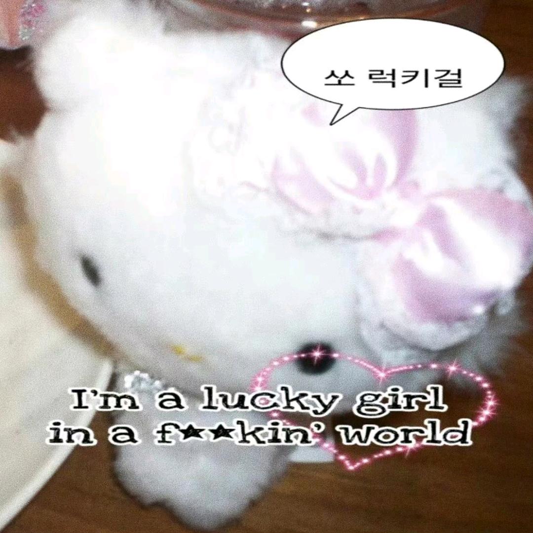 我是Kitty妹