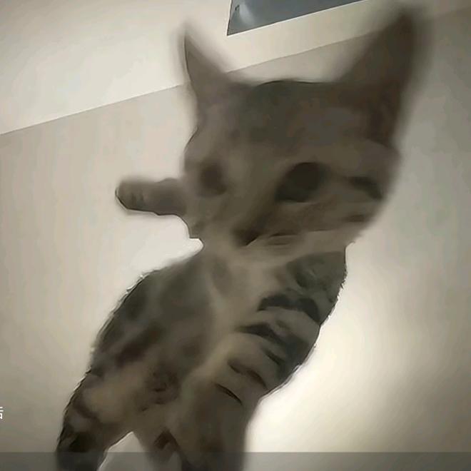 缘来誓你
