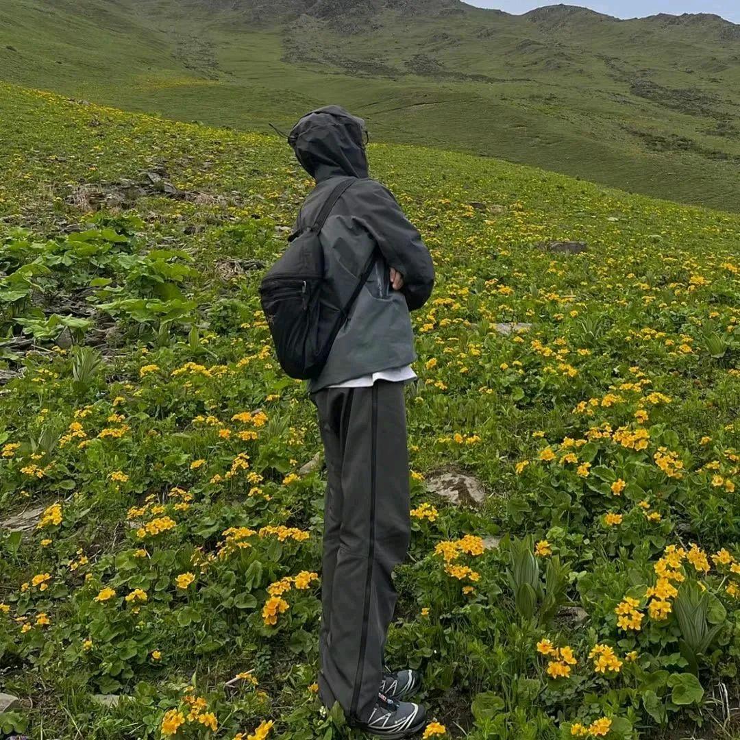 花儿就是这样红