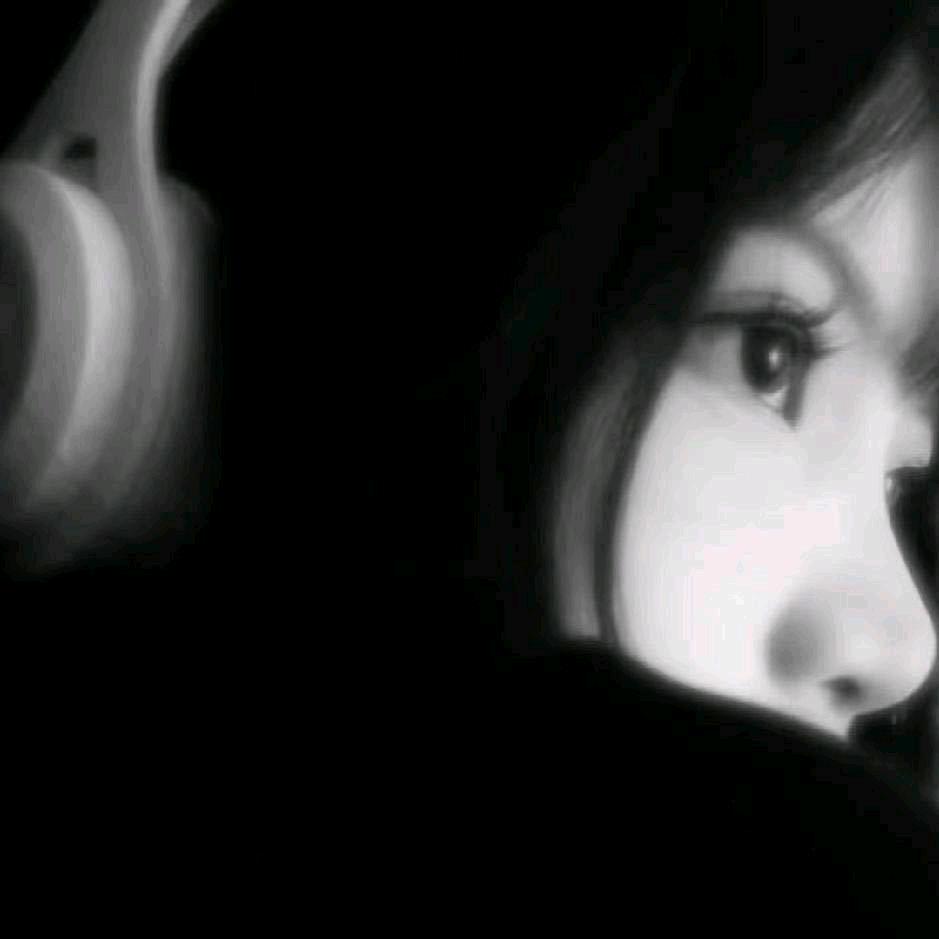 梨花诗le