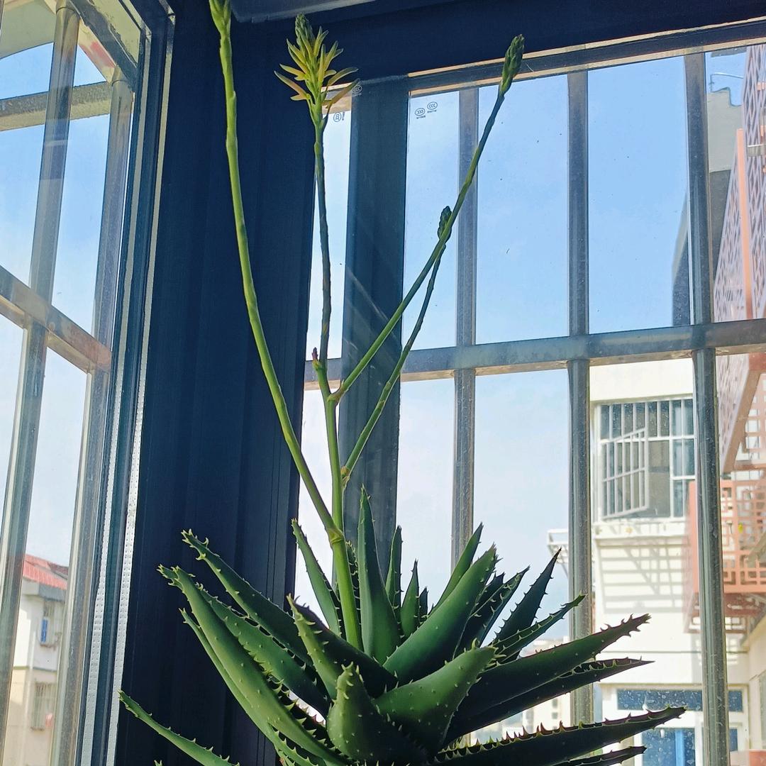 专业推拿…足疗…