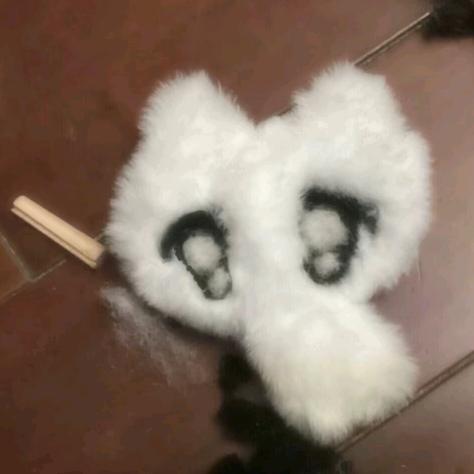 蒸琳（颠倒睡眠版