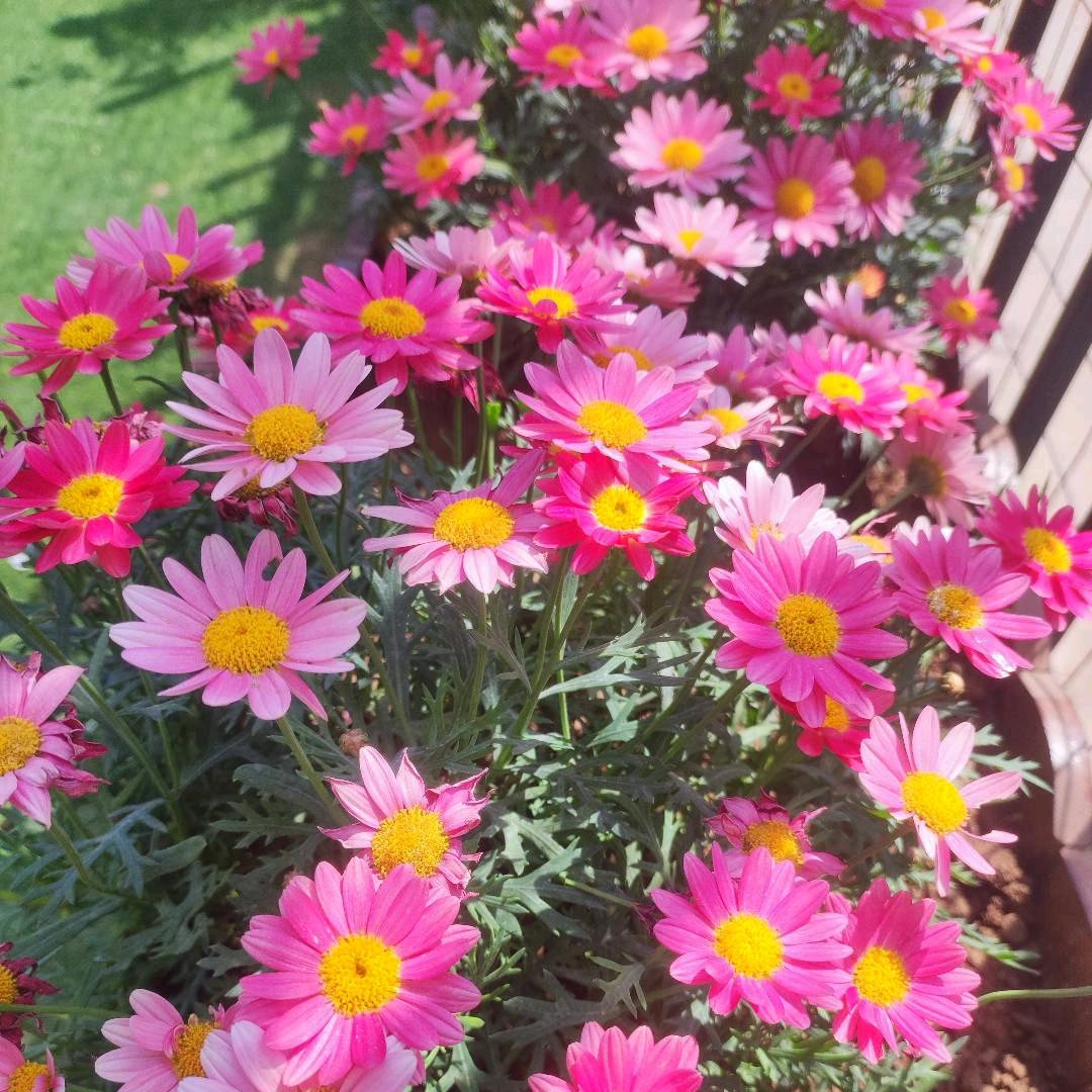 ღᩚ王ྀིderful࿐໌ᮨ