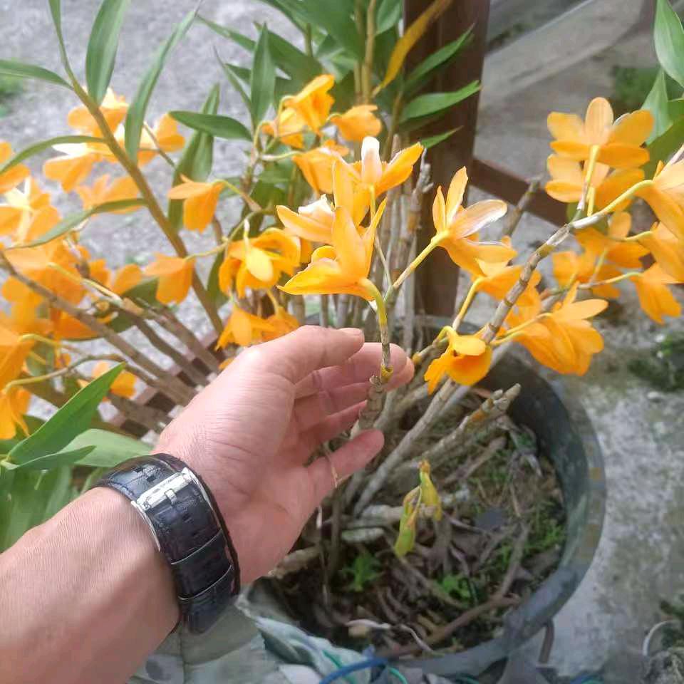 是非功过任评说