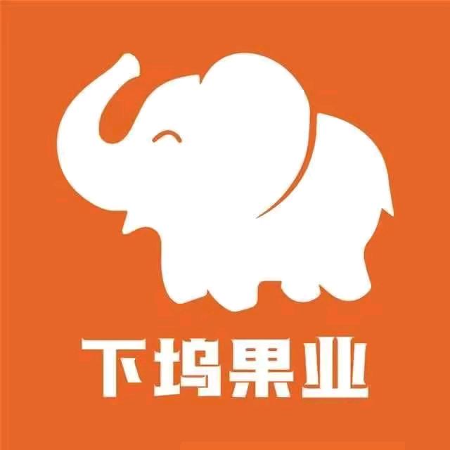 下坞果业步行街店