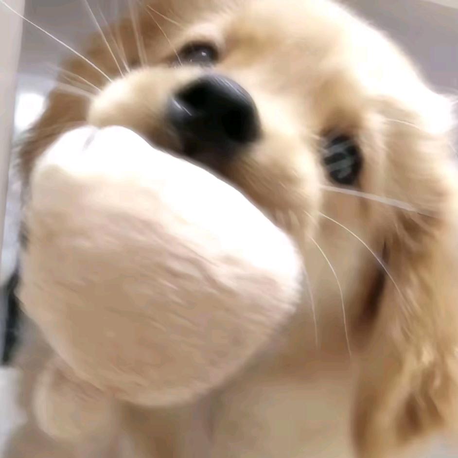 豆腐.