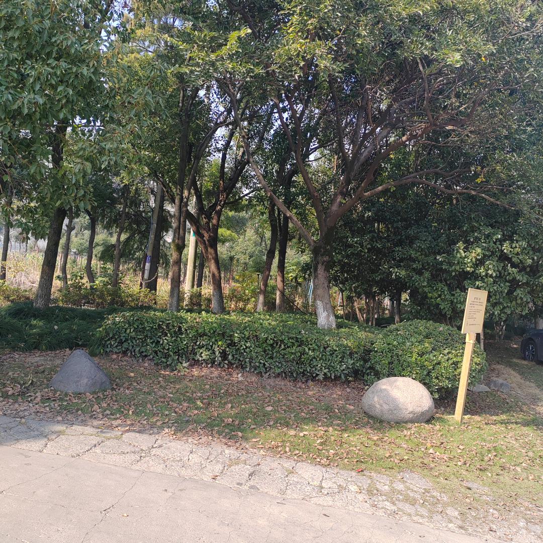 一人一车闯天涯