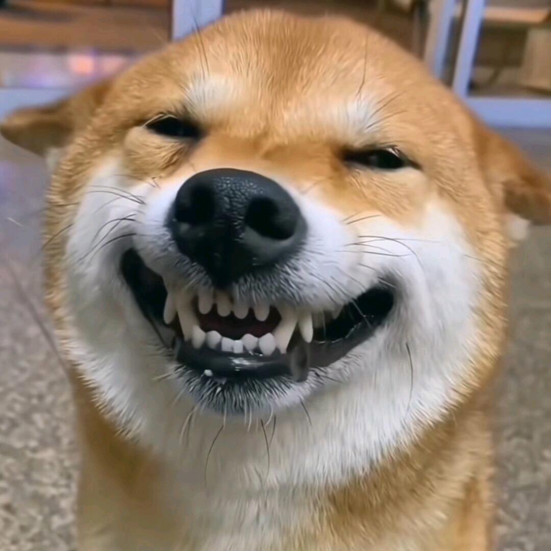失格