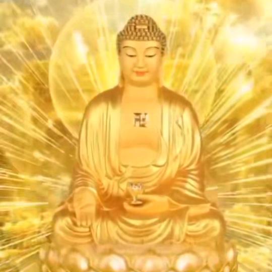 随缘堂