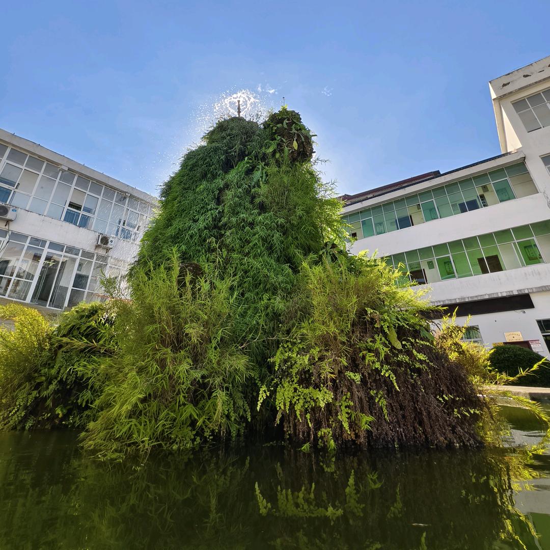 紫气东来@溪水长流