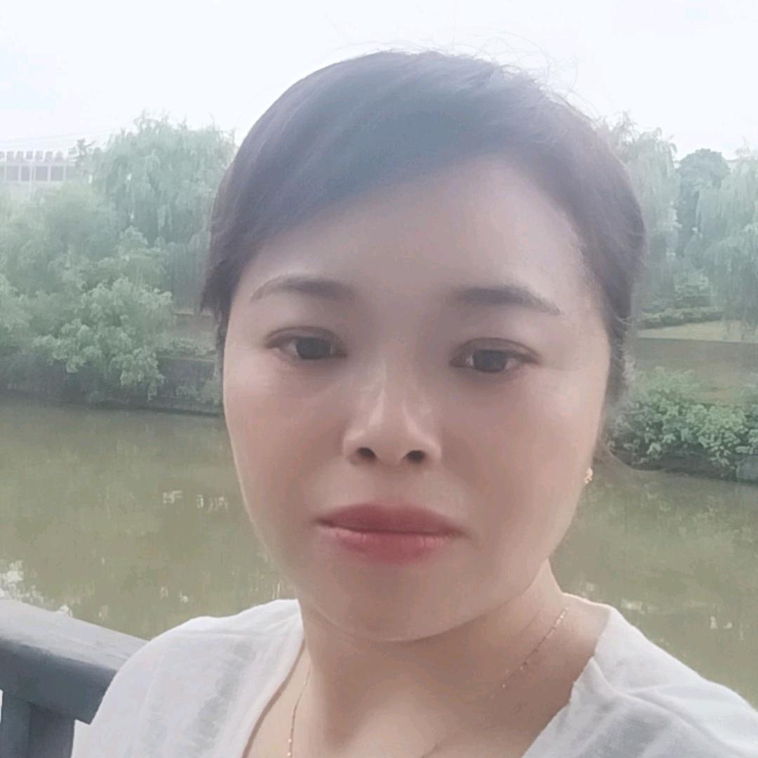 绮罗裙