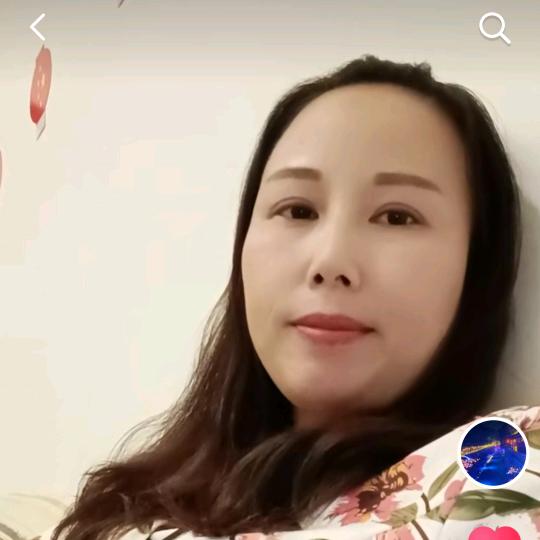 我的大树去哪了