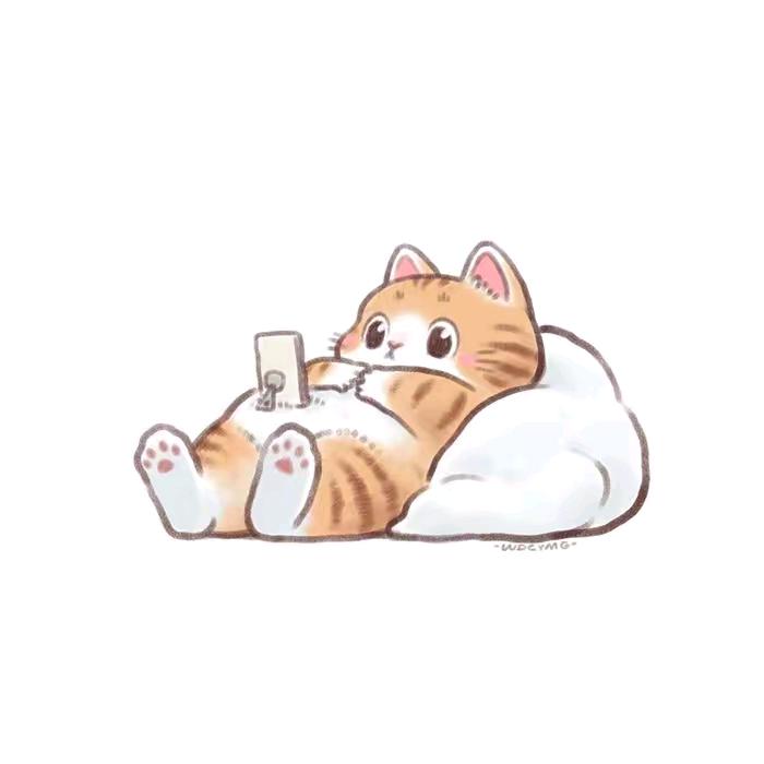 昭昭细雨