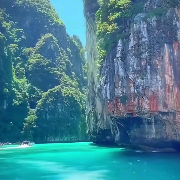 💕吸金小能手