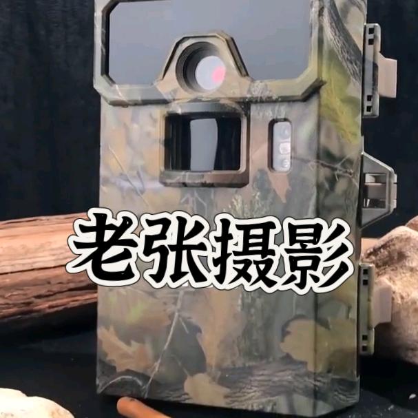 老张摄影,动物科普