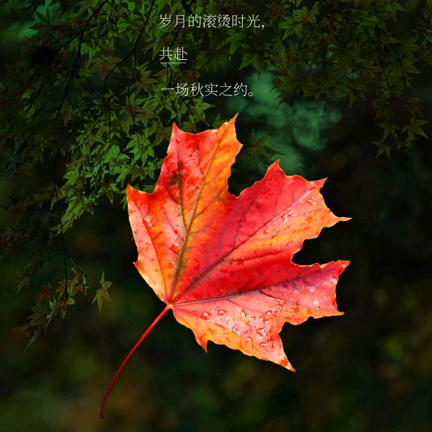 点点♥