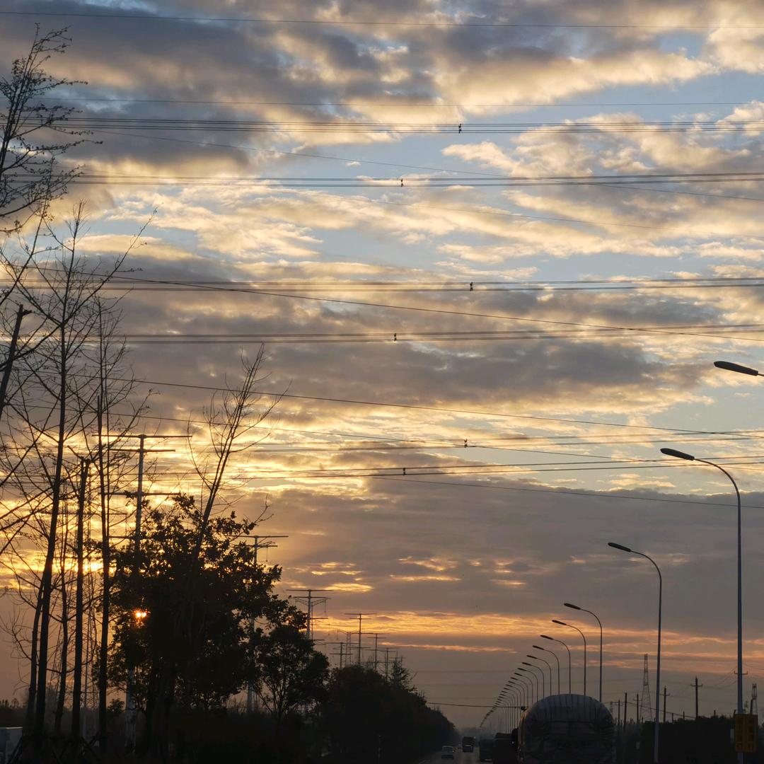 老坛酸菜味牛马