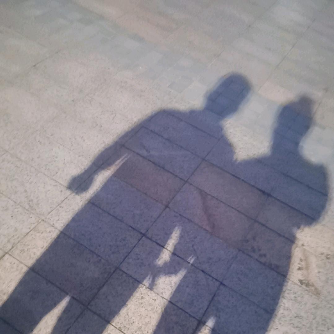 日月所照，皆为华夏