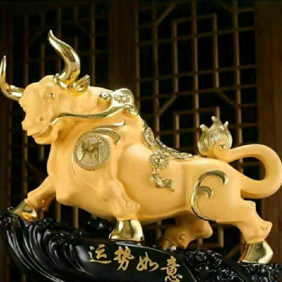 幸运宝贝