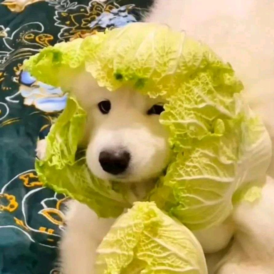 亿佰萬