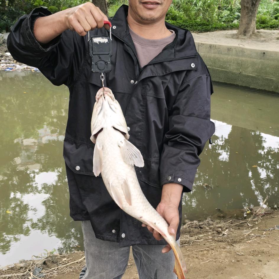 🇨🇳香烟不解人间苦💔