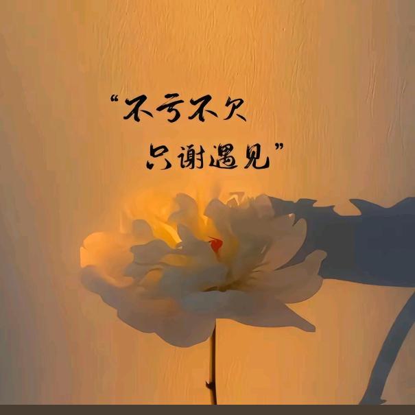 丹妹妹1