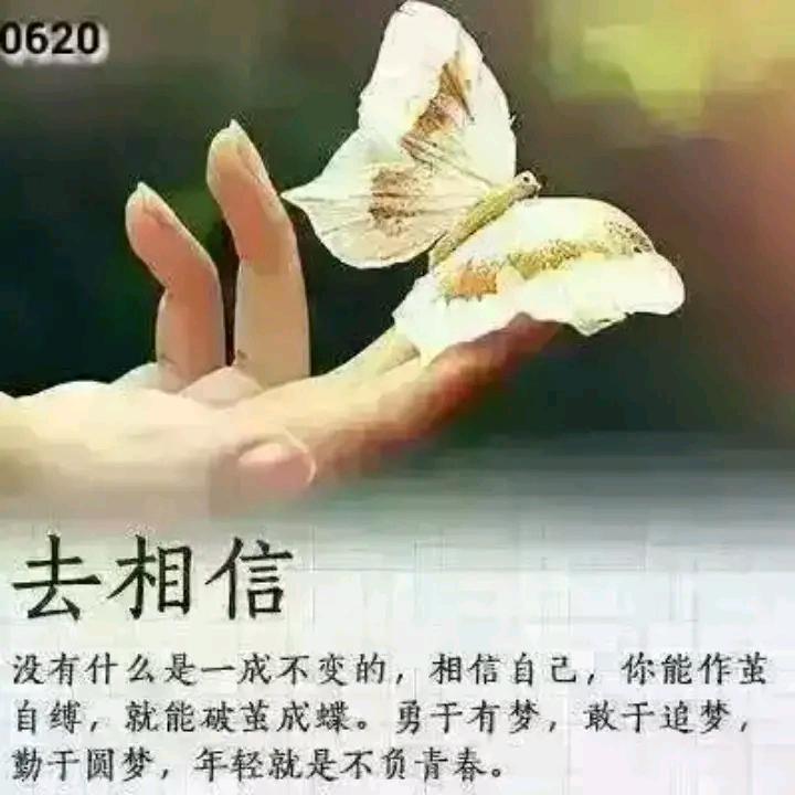 曾经多少人，互道晚安