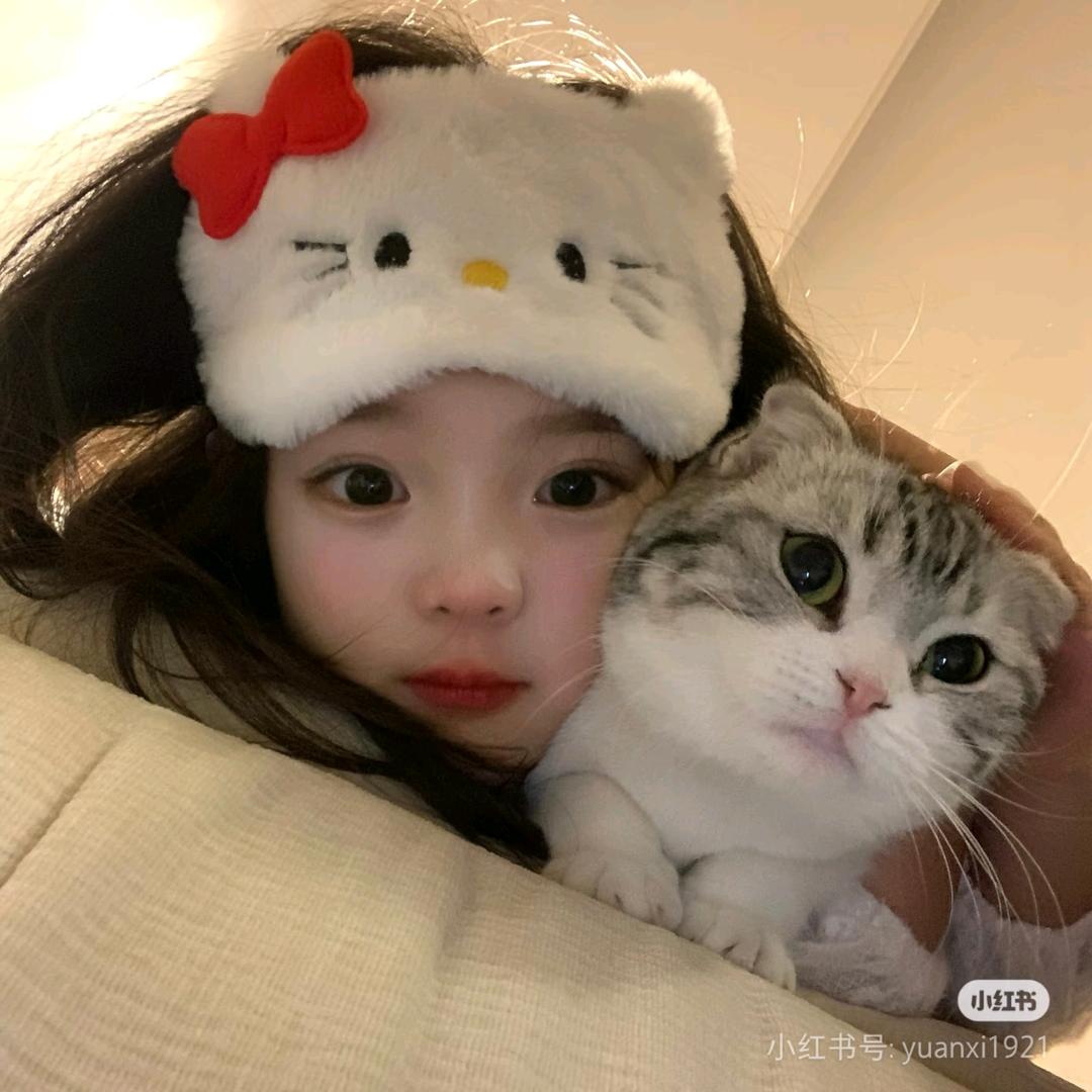 心动小猫