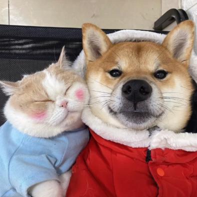 宠爱小小家服装