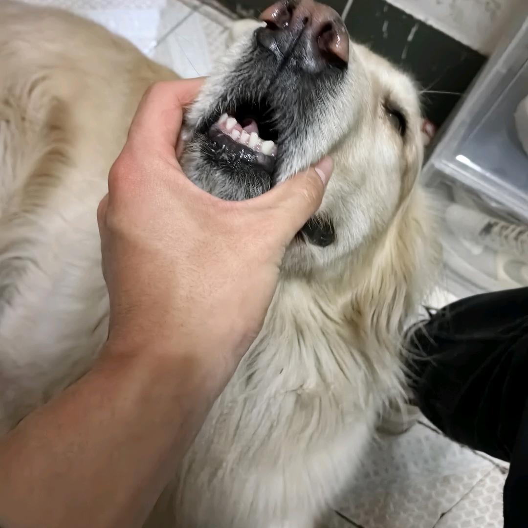 哦哦哦哦