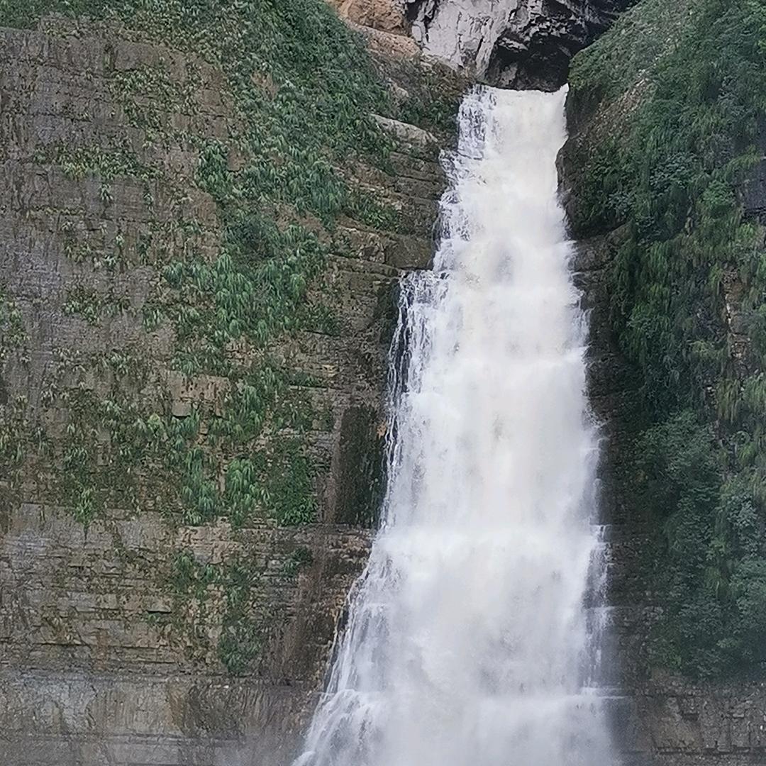 W前程似锦