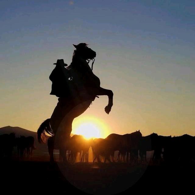 Aℒℴѵℯ辉·太难86ꦿ⸙