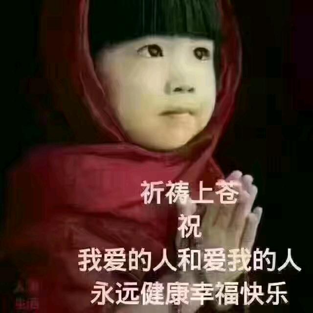 陕西金哥