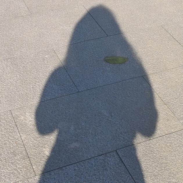 忘了忘记