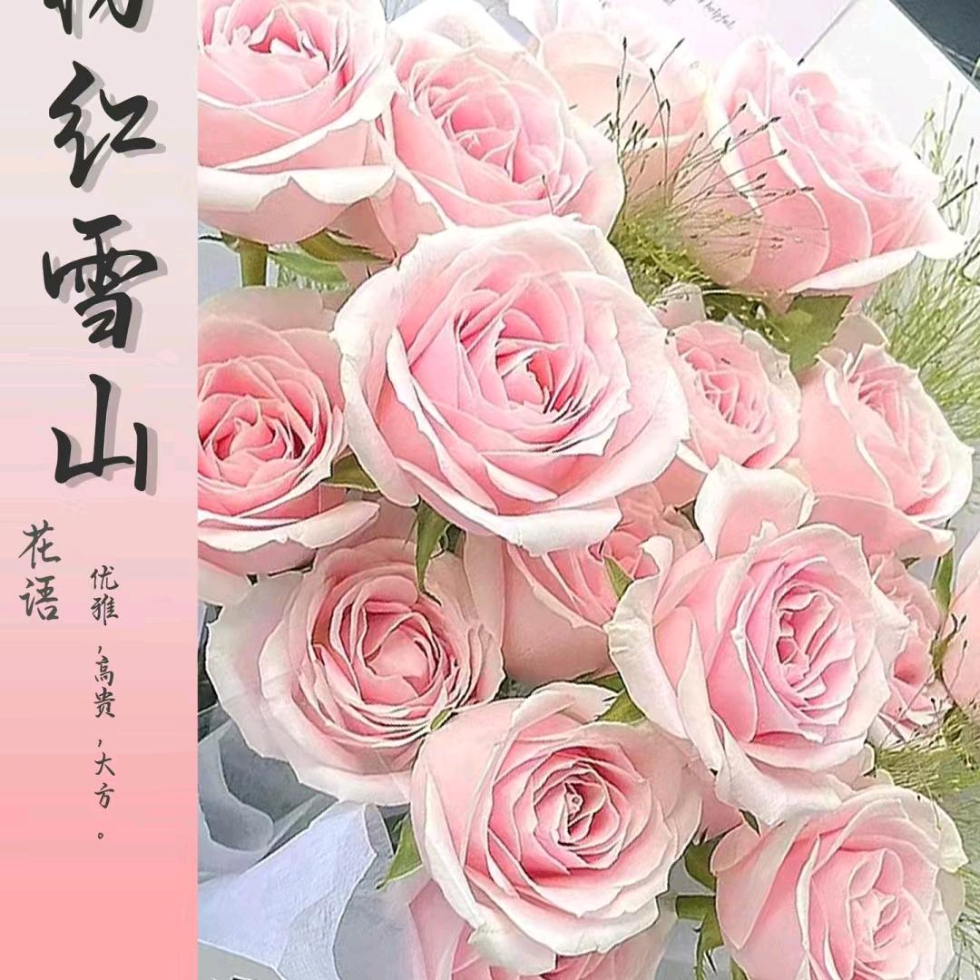 风吹半夏，海棠依旧