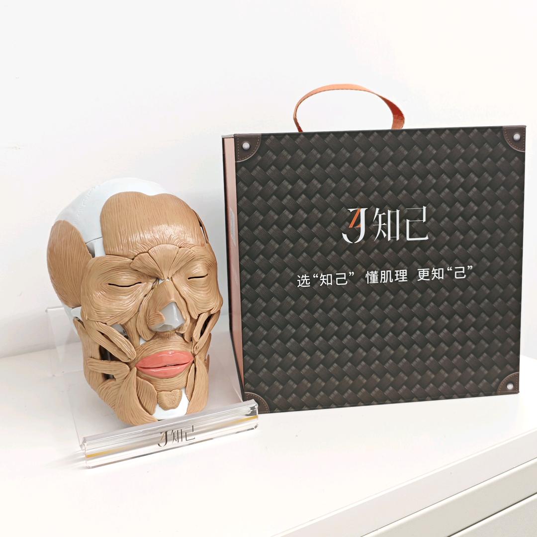 知己模型好帮手