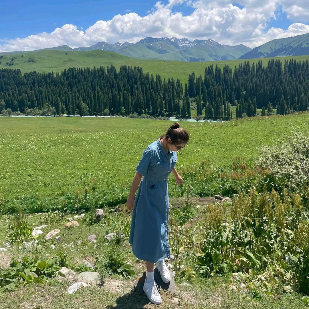 Zlyt27_