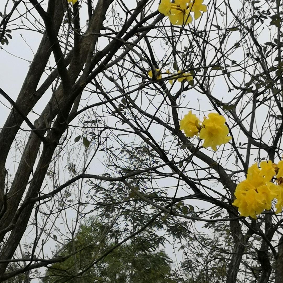 明天会更好