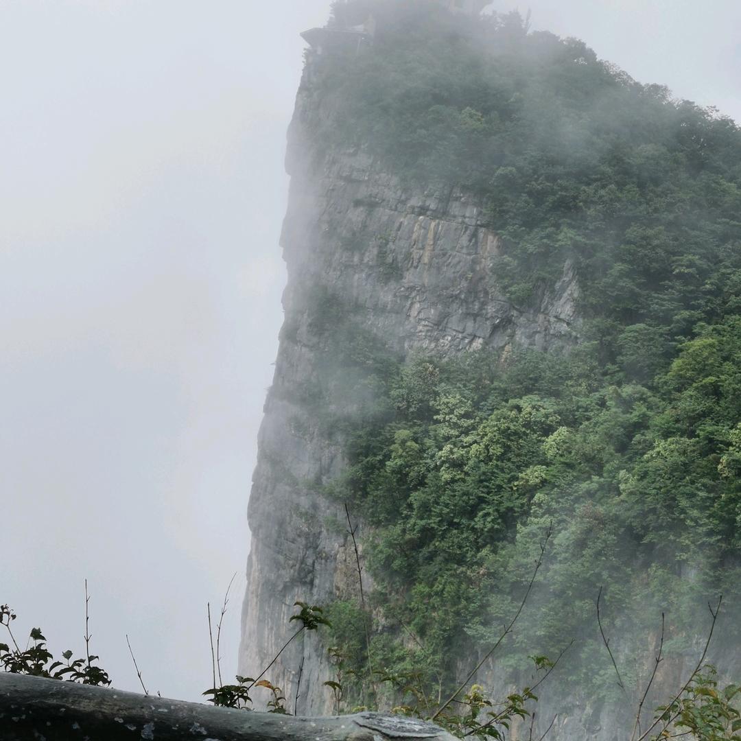李老师。(叫叫阅读团购)