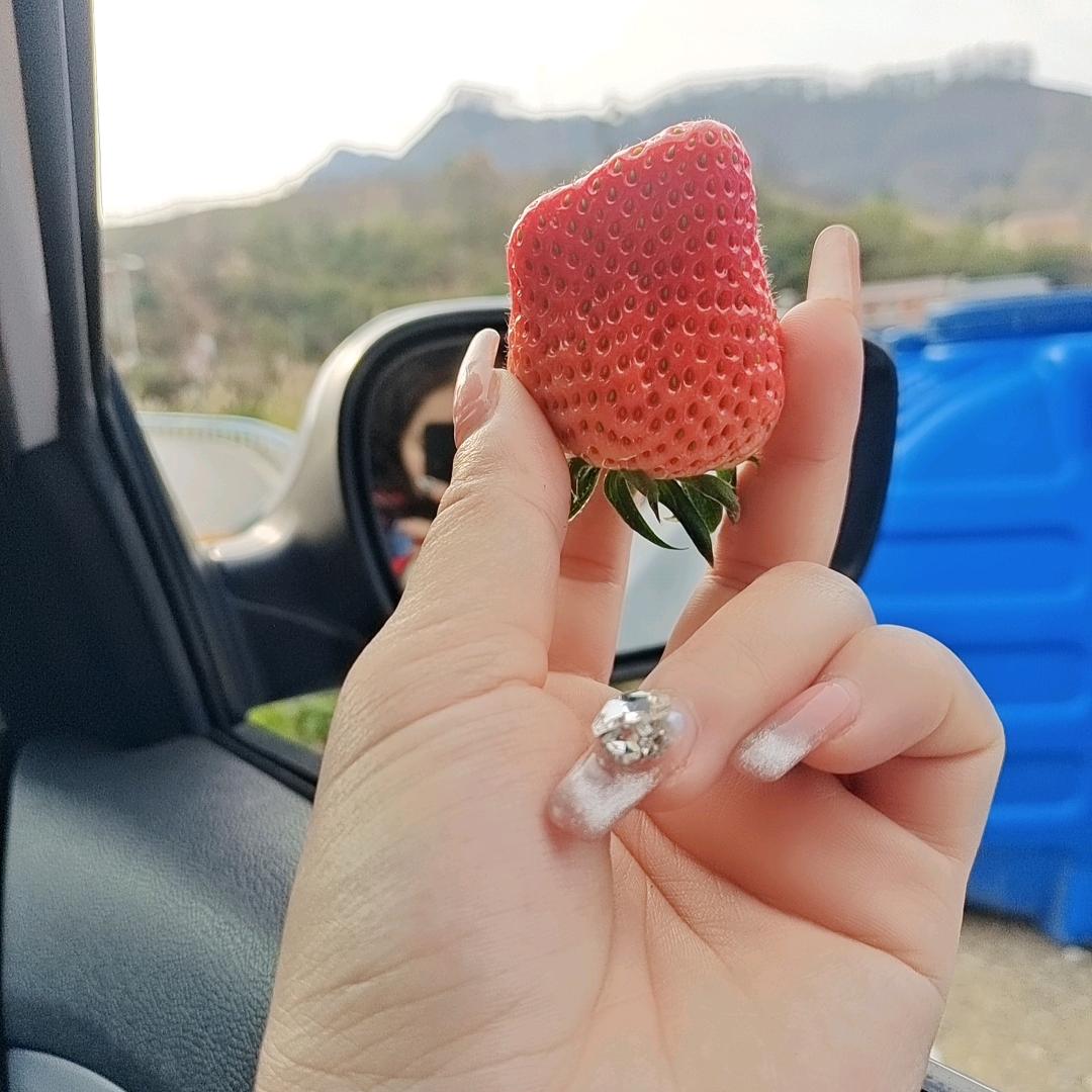 淡淡的忧伤🌸
