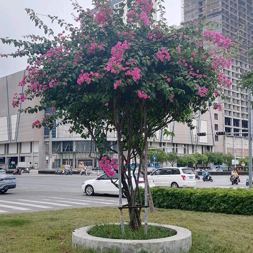 江南