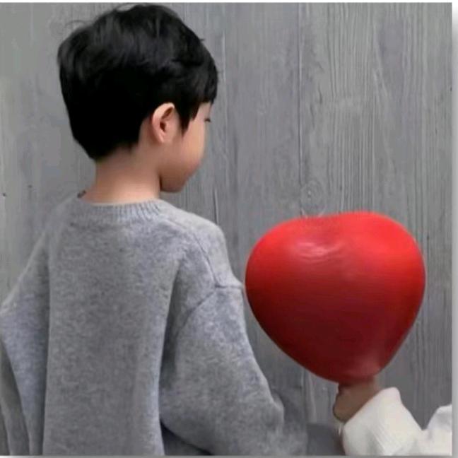 🍓.买不起揽胜的揽境车主